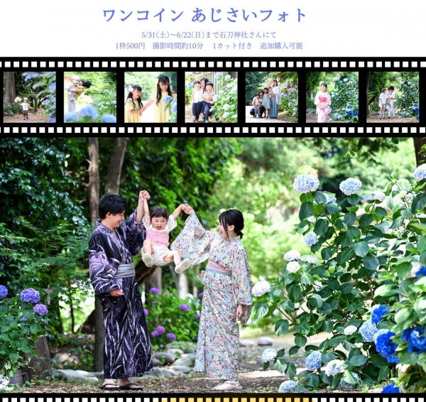 紫陽花と撮影会